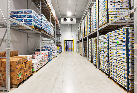 PUF Cold Storage Units Manufacturer in Meerut